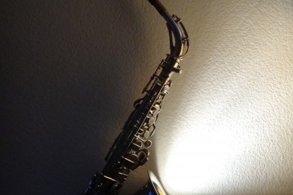 dsc00167-320A7DB5E-13C3-1EA7-1F1F-5212796350CA.jpg